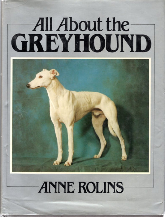 All About the Greyhound