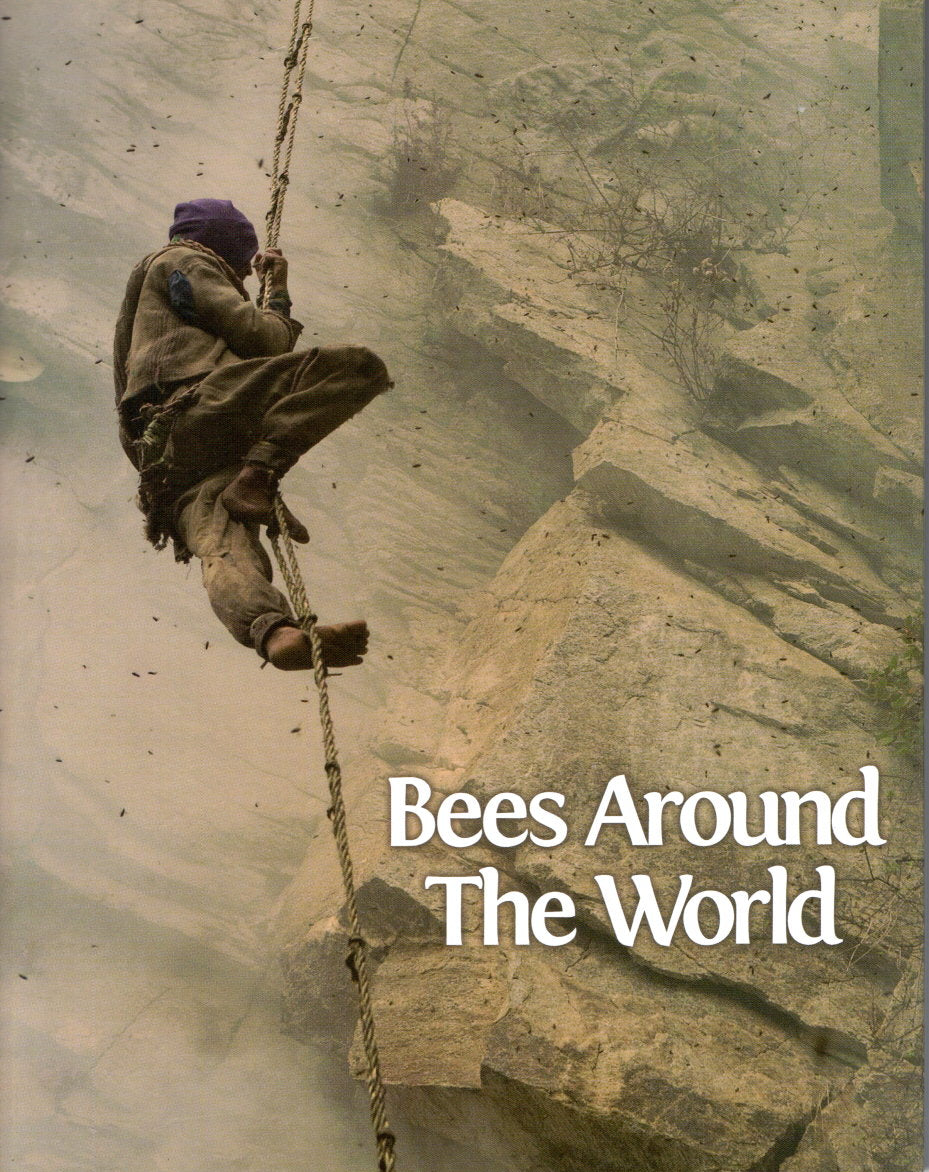 Bees Around the World