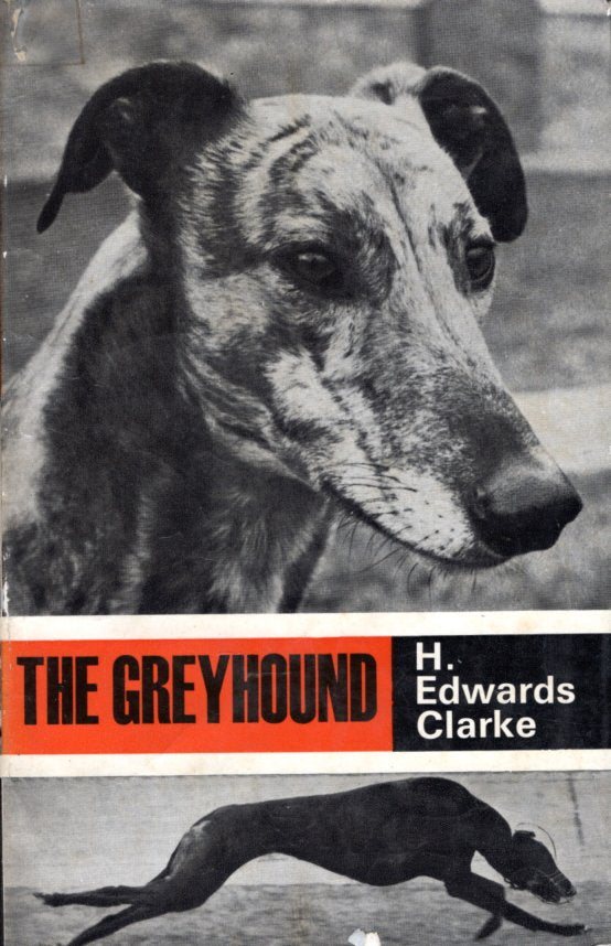 The Greyhound by H. Edwards Clarke