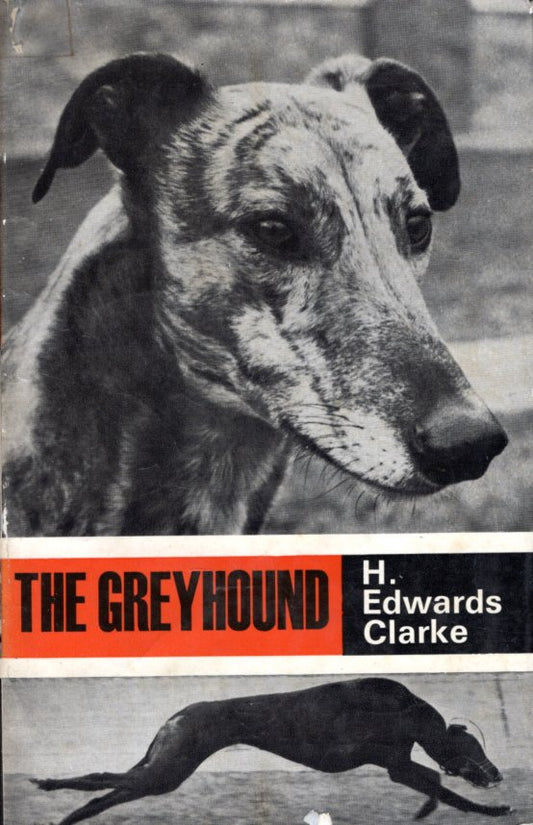 The Greyhound by H. Edwards Clarke